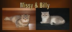 Missy en Billy